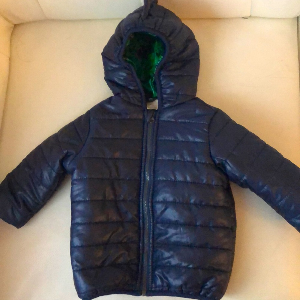 Baby Blue Dinosaur jacket